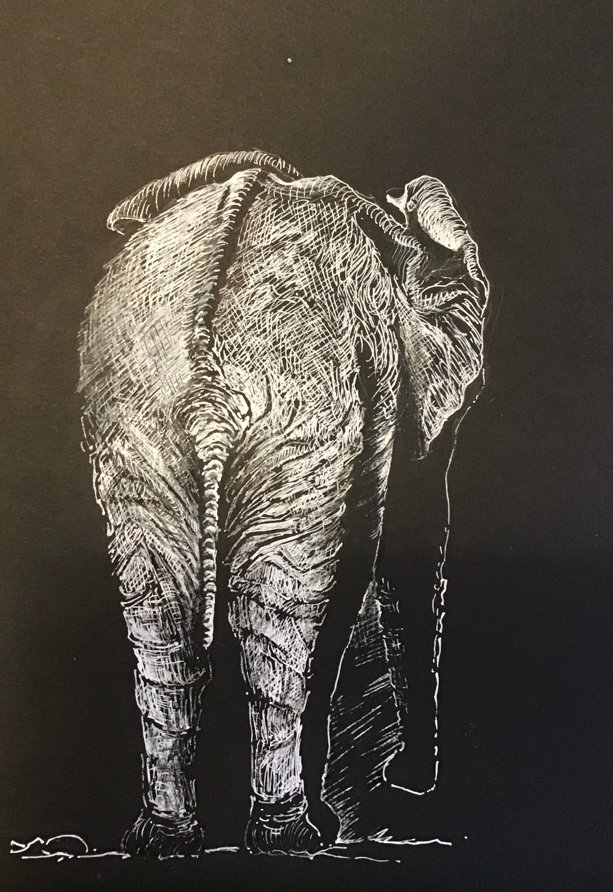 Safari Animals in White Gel Pen on Black Paper – 29/30th January