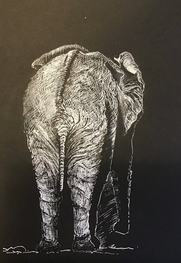 Pencil portrait by David Barnhurst