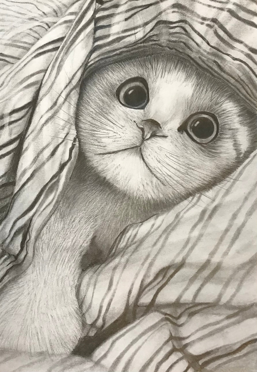 12 Week All Abilities Course