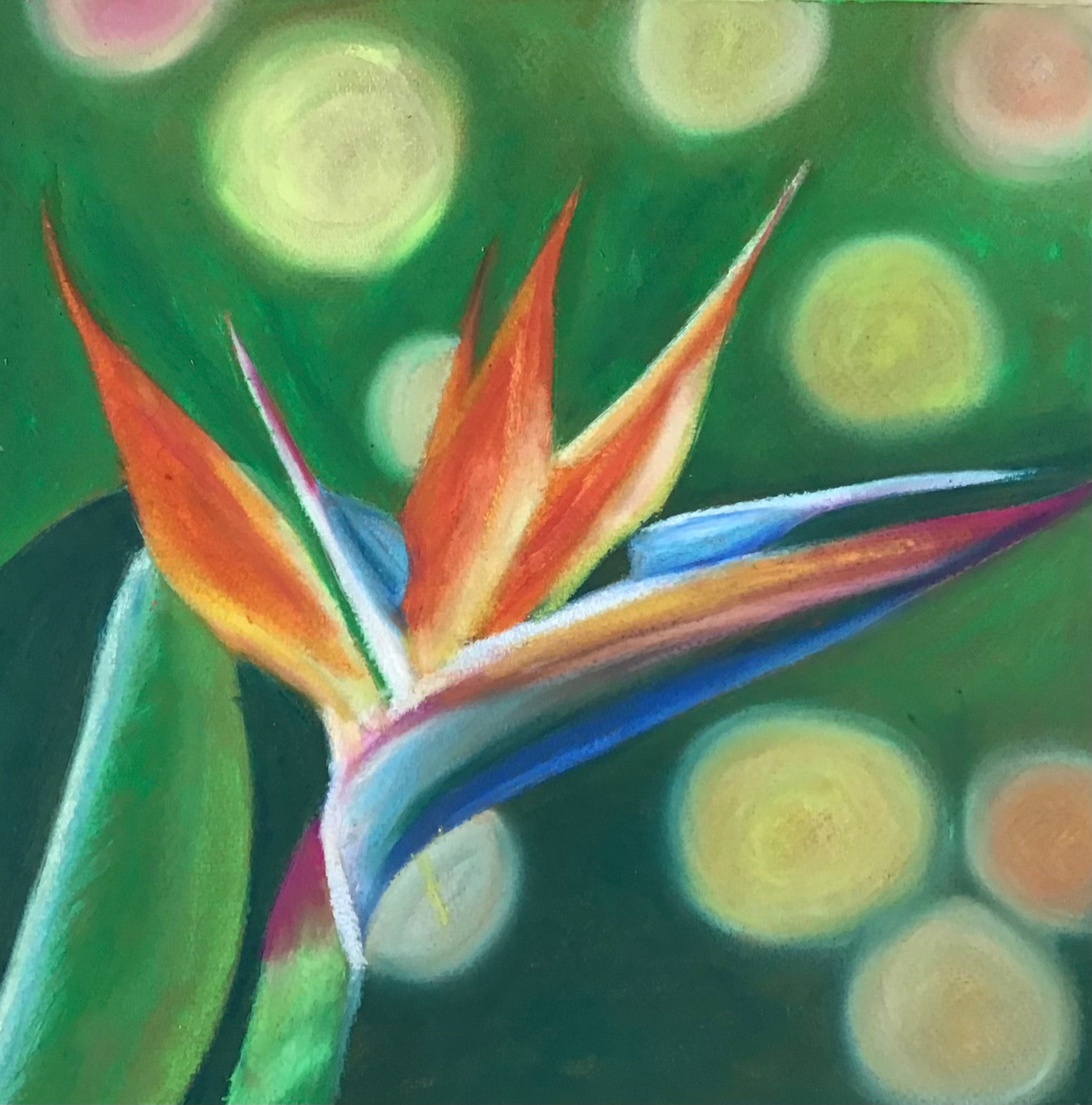 12 Week All Abilities Course