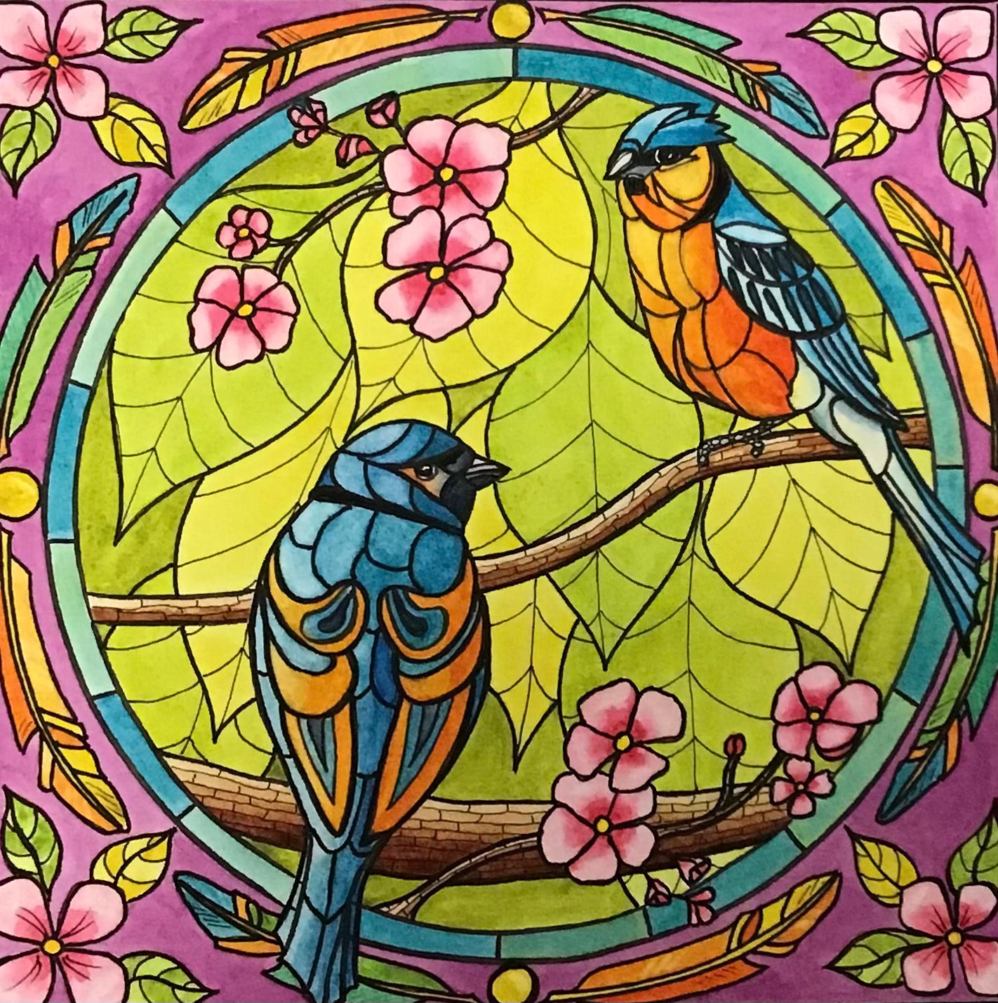 12 Week All Abilities Course