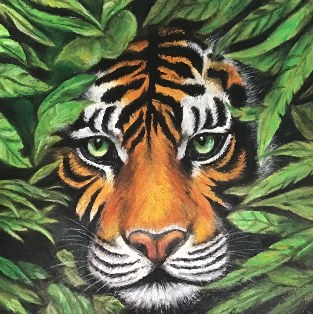 5 Week Starter Drawing Course