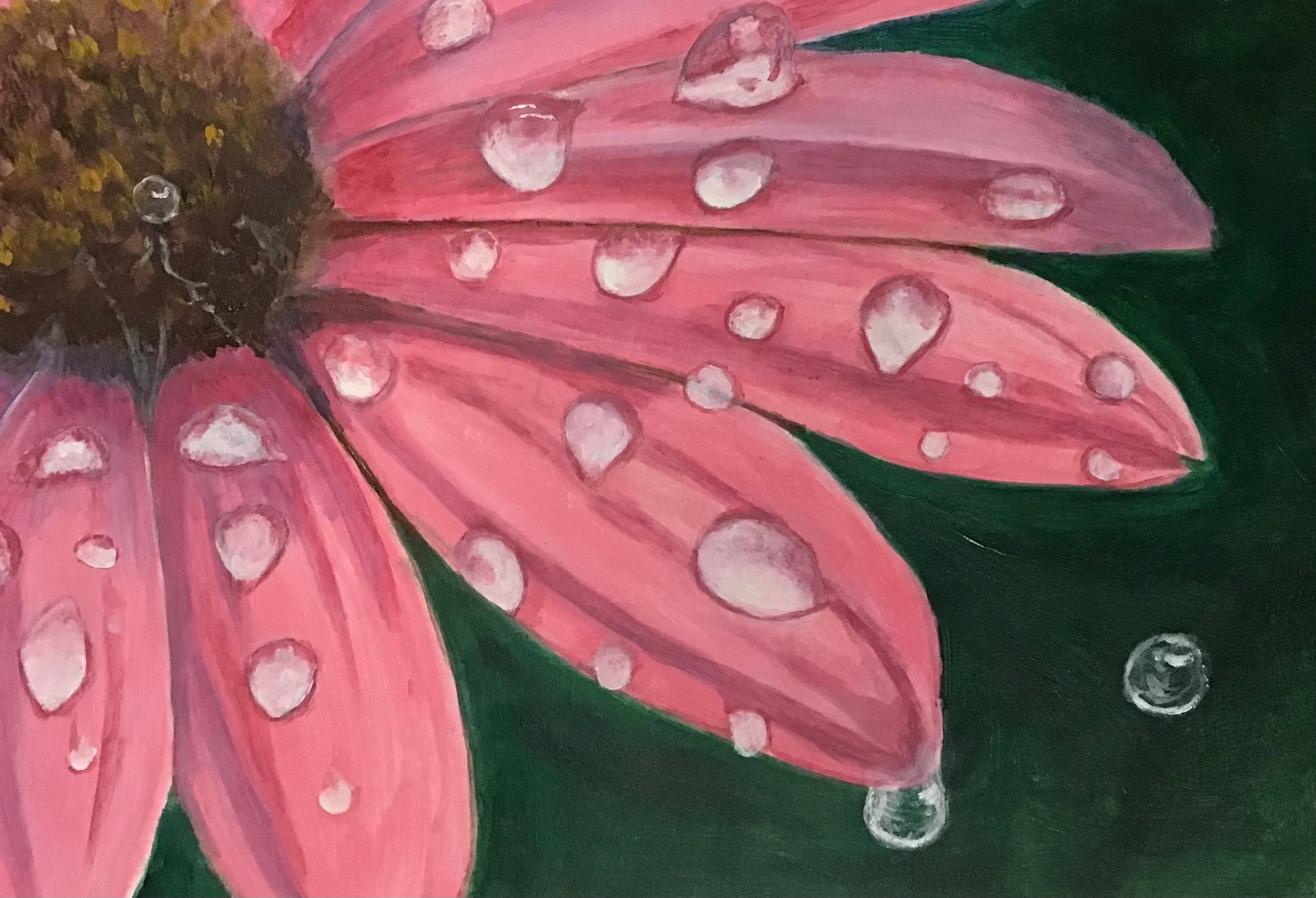 12 Week All Abilities Course