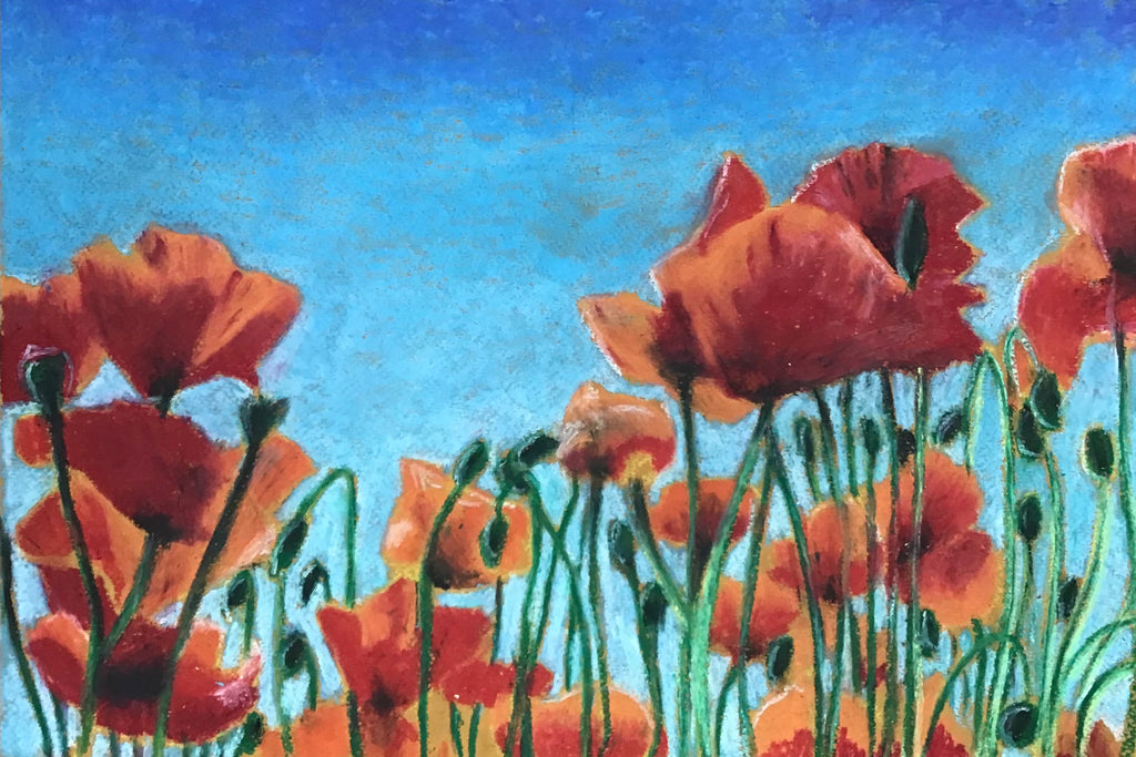 5 Week Starter Drawing Course