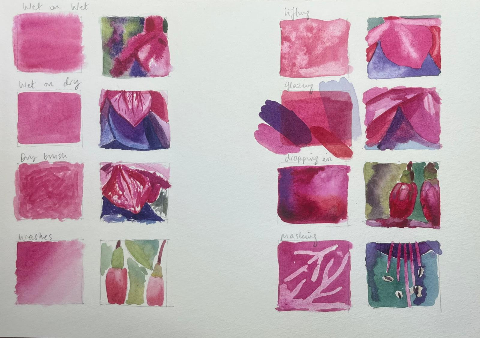 Fuchsias in Watercolours – 11th or 12th June