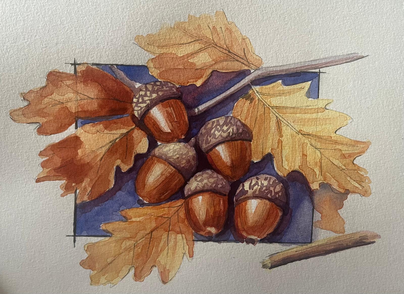Acorns in Watercolour - 8th or 9th October