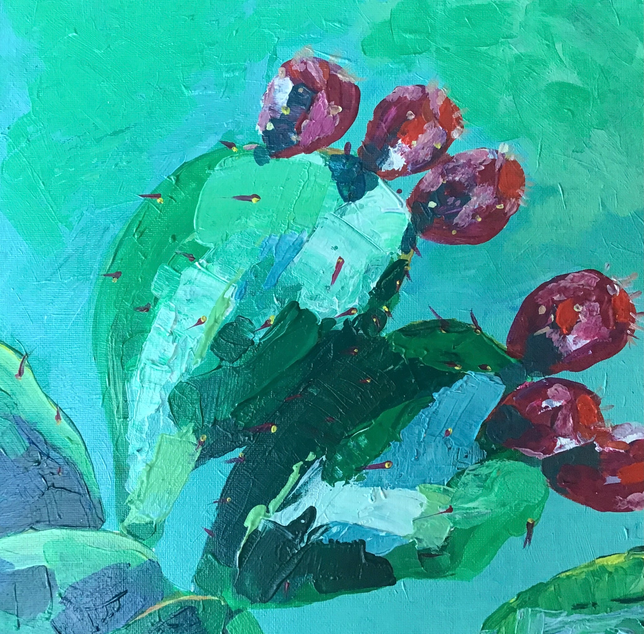 Impasto Cactus – 16th or 17th July